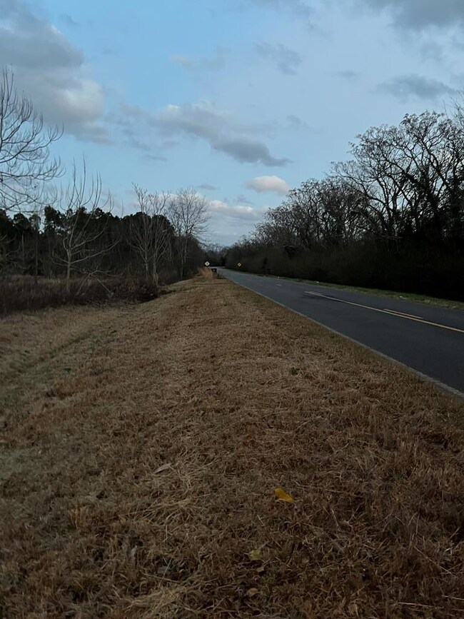 818 McMath Mill Road Extension, Americus, GA 31709 - photo 3