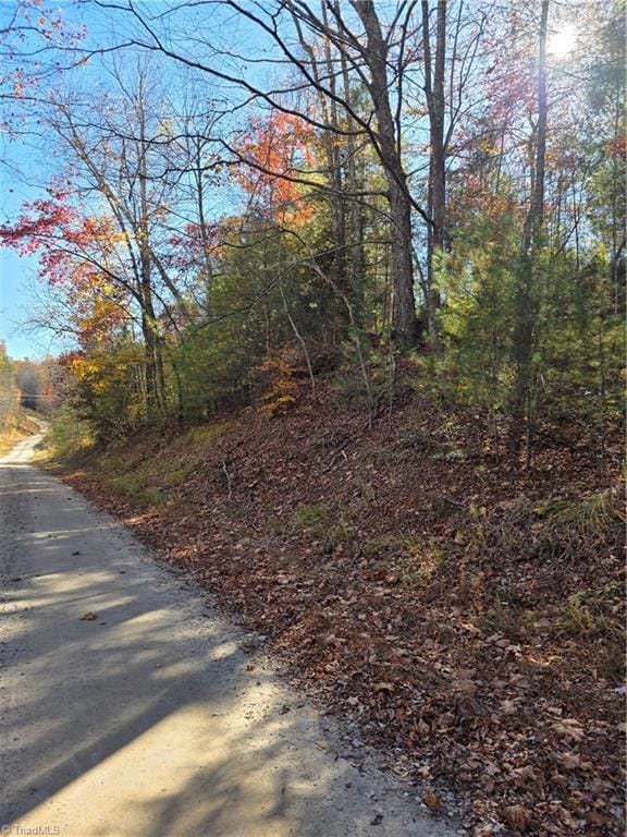 TBD Browntown Rd, Wilbar, NC 28651 - photo 3