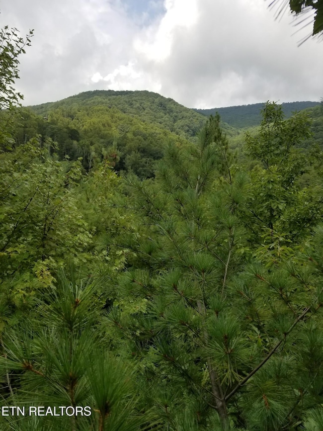 0 Fern Point Dr, Sevierville, TN 37862 - photo 3