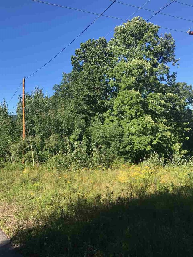 1277 Governor Wentworth Hwy, Moultonborough, NH 03254 - photo 4