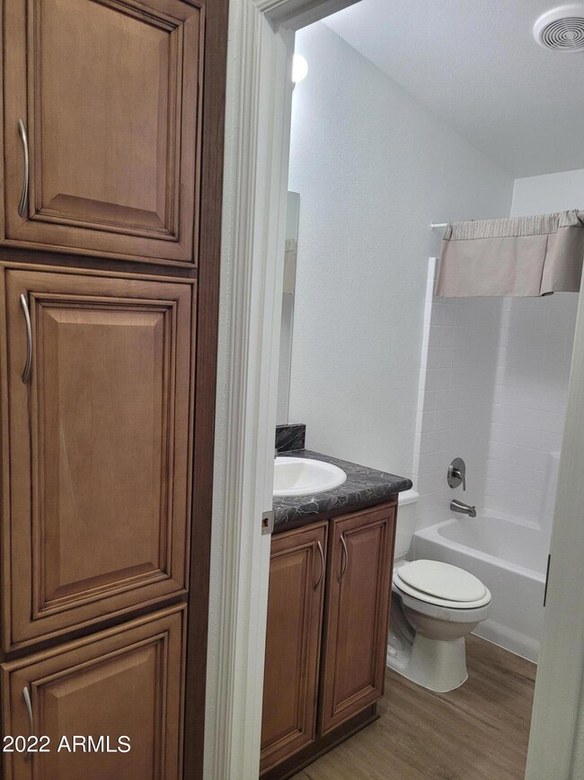 Hall bathroom/hall cupboards