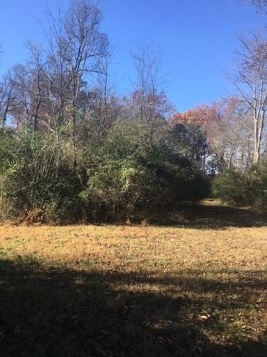 This area is located near creek