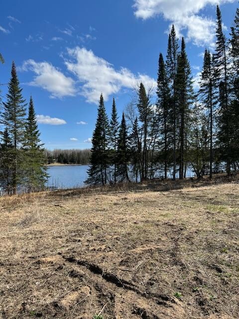 7285 W Leavitt Rd NE, Outing, MN 56662 - photo 6