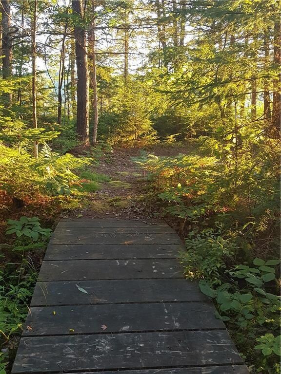 6 Flint Rd, Sweden, ME 04040 - photo 4