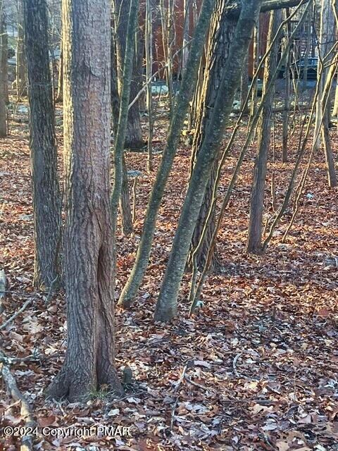 259 Winona Terrace, East Stroudsburg, PA 18301 - photo 3