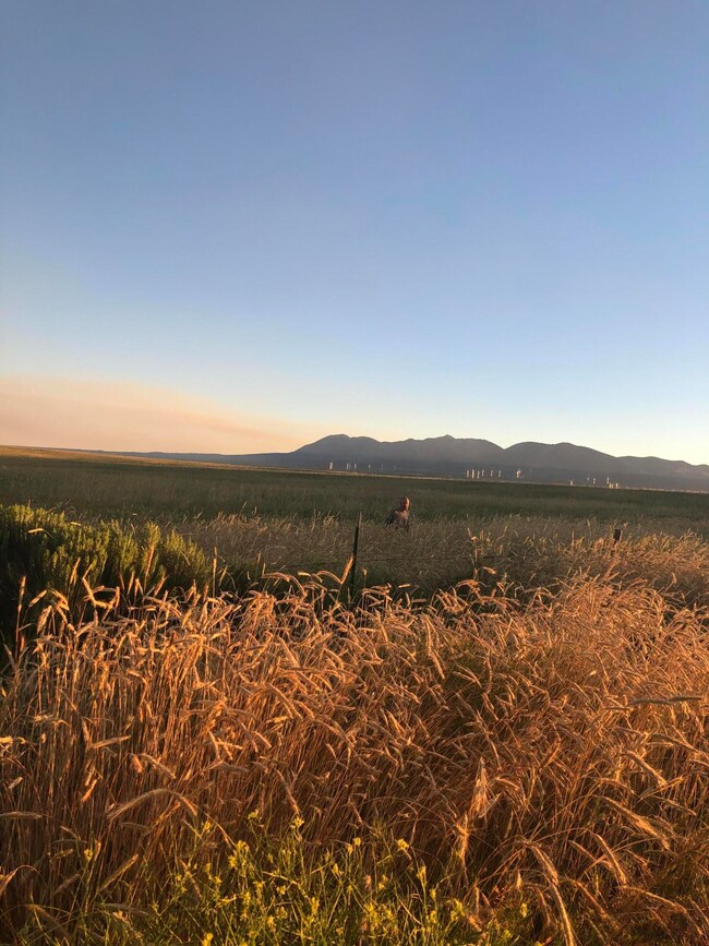 Harvest