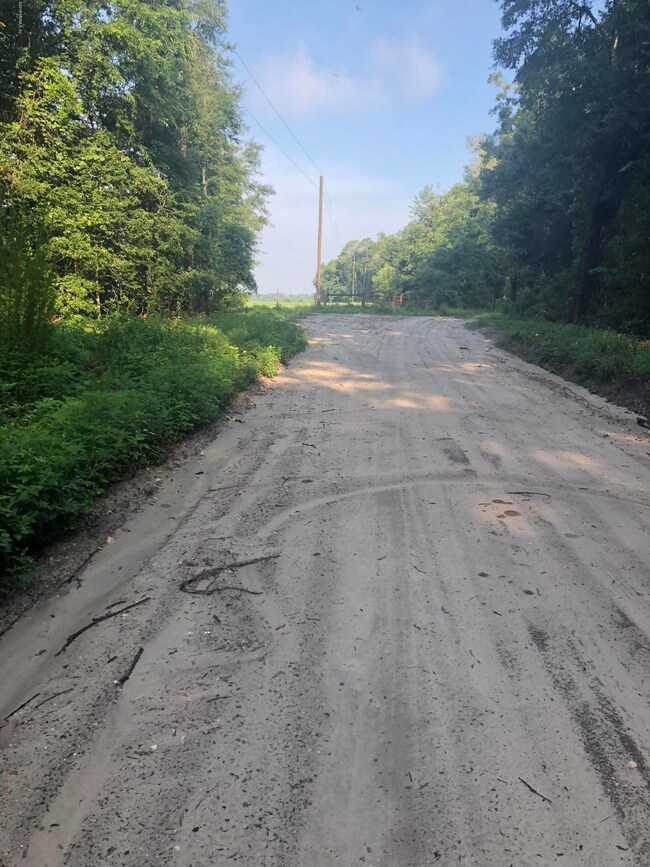 0 280th St unit 942810, Branford, FL 32008 - photo 7