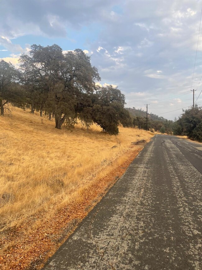 0 Castillo Way unit 225125624, La Grange, CA 95329 - photo 5