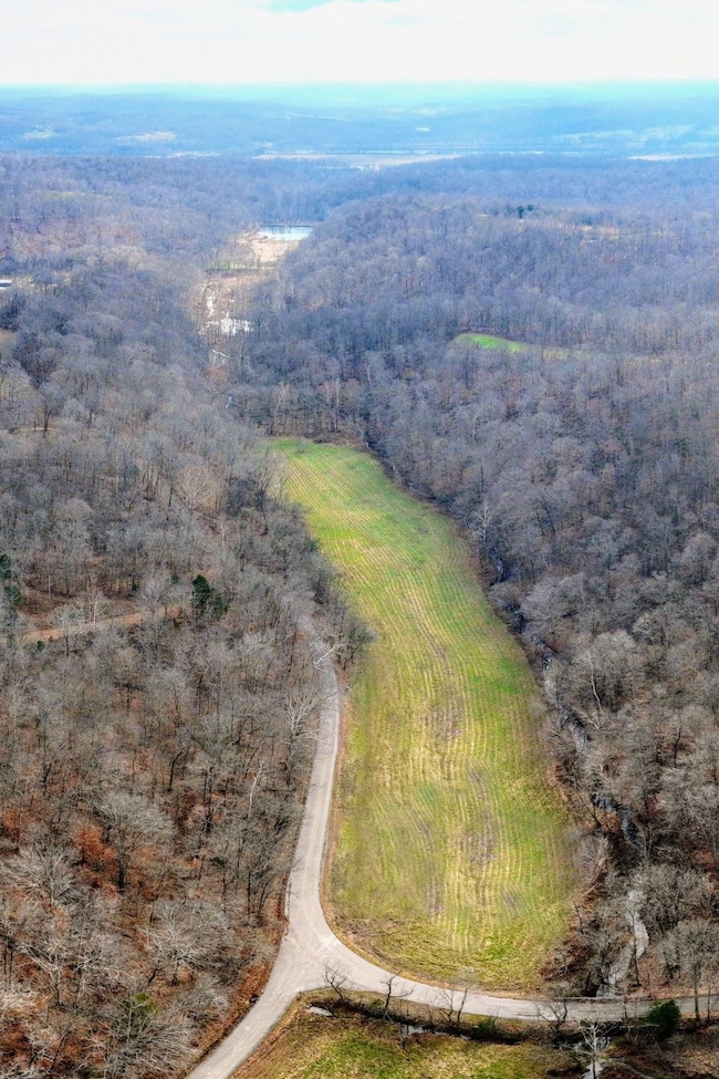 0 Kirkland Rd unit RTC3059615, Indian Mound, TN 37079 - photo 6