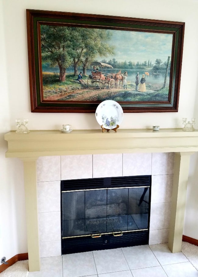 Gaslog fireplace