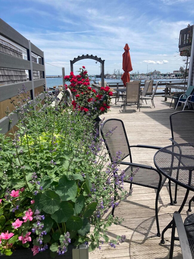 353 deck and bay June 2022