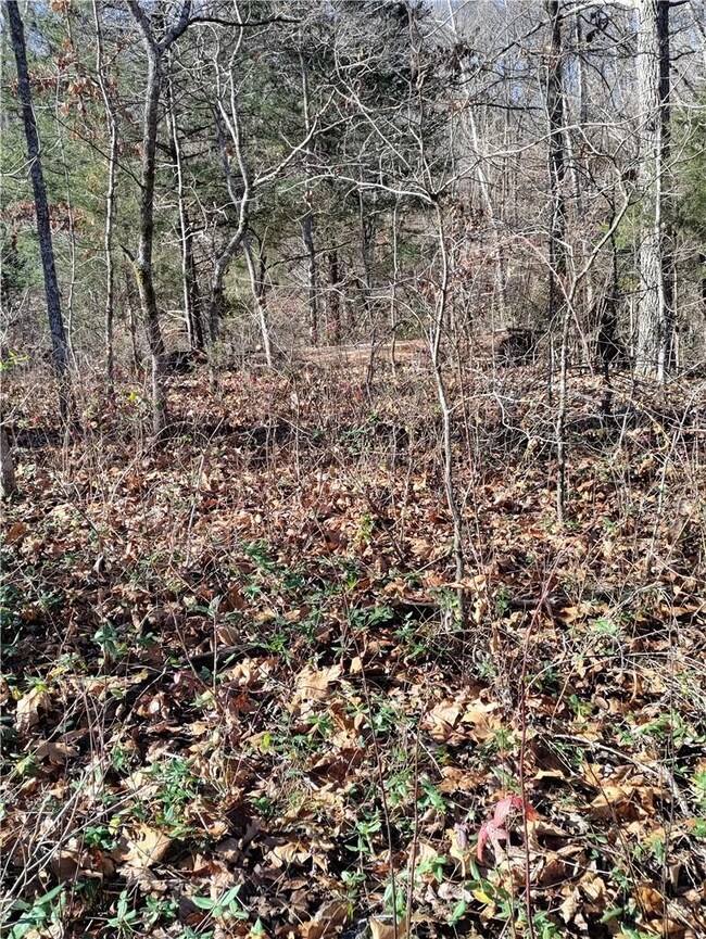 1 Munster Dr, Bella Vista, AR 72715 - photo 4