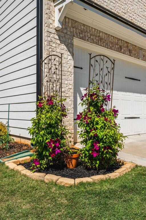 There are a variety of plants and fruit tress all 