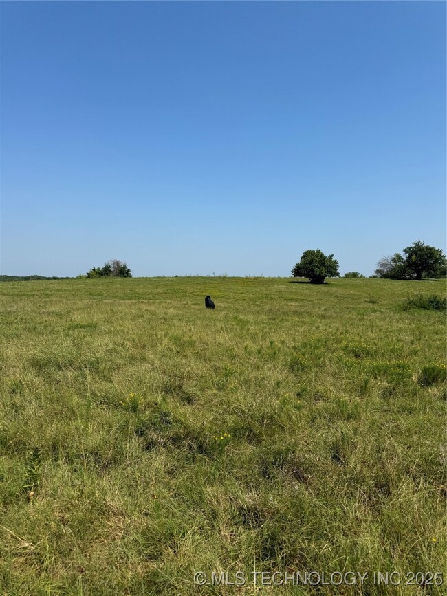 20253 Bales Rd, Madill, OK 73446 - photo 6