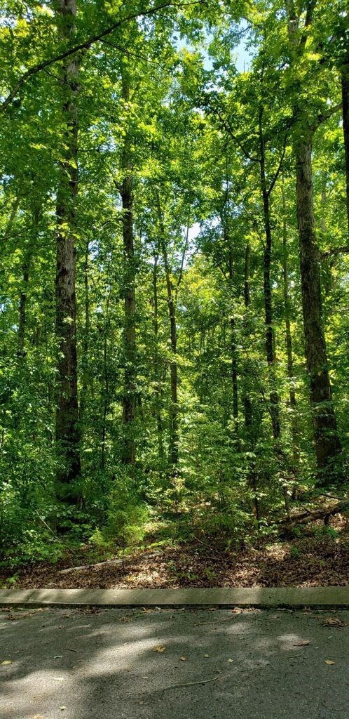 11 Shady Oaks Dr, Dunlap, TN 37327 - photo 4