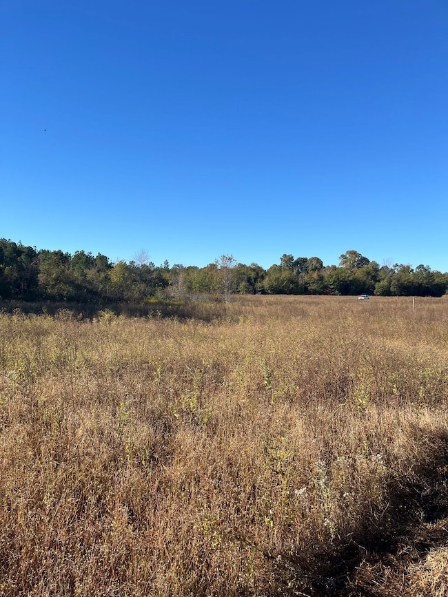 Bhl 2 Boise Cascade Rd, Bethune, SC 29009 - photo 6