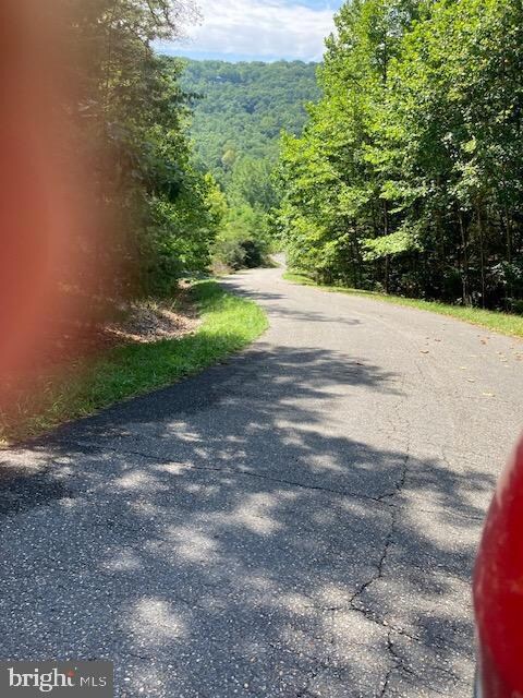 0 Falcon Haven unit VASH2008748, Basye, VA 22810 - photo 2