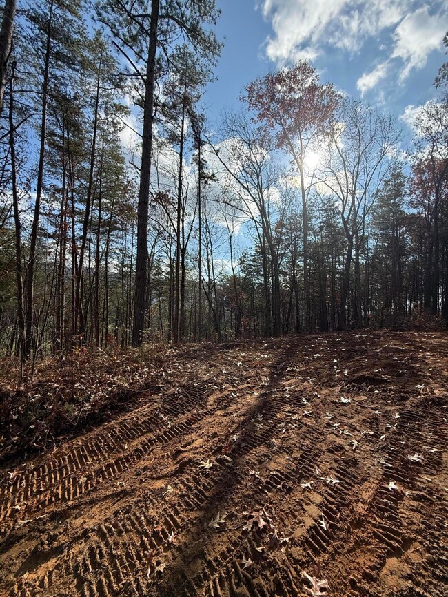 Lot 4 Parksville Rd, Benton, TN 37307 - photo 2