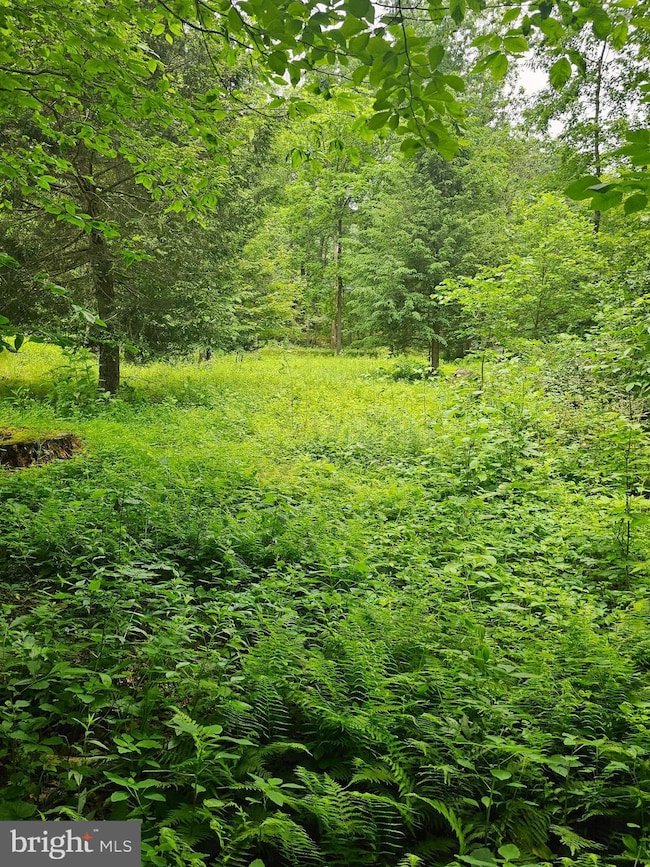 00 Pisgah Rest, Shermans Dale, PA 17090 - photo 4