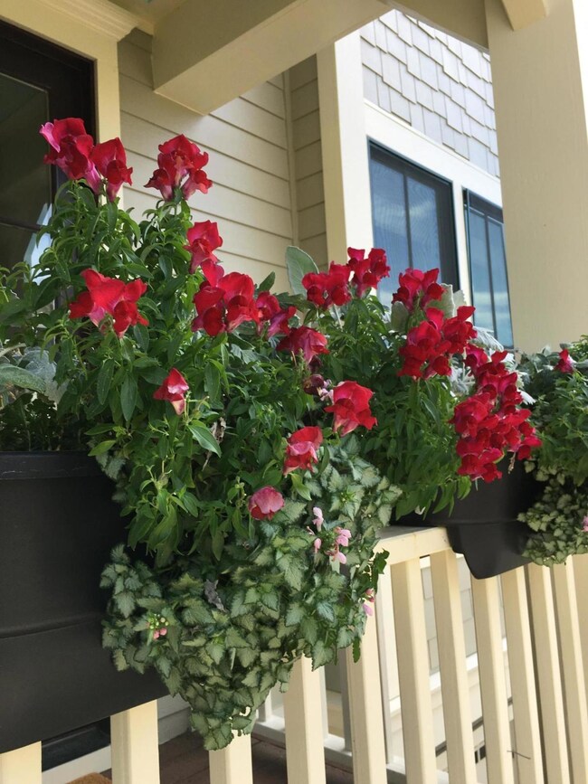 Flowers at your door