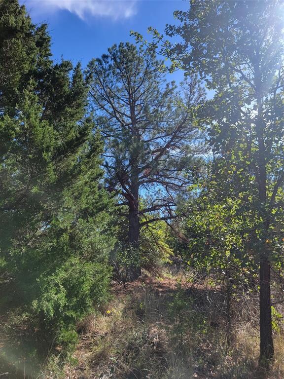 TBD Lot 7 Phillips Dr, Azle, TX 76020 - photo 4