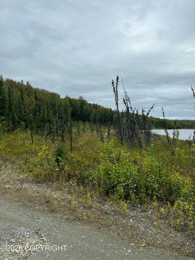 NHN W Hollywood Rd, Wasilla, AK 99654 - photo 4