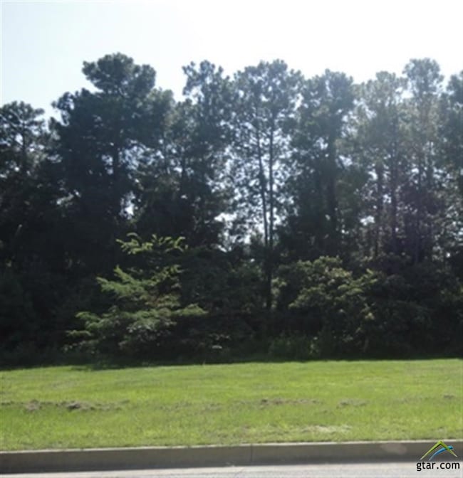 3710 Winding Way, Tyler, TX 75707 - photo 3