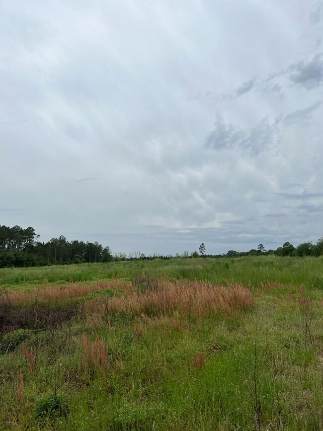 0 Eastman Paulk Rd, Ambrose, GA 31512 - photo 5
