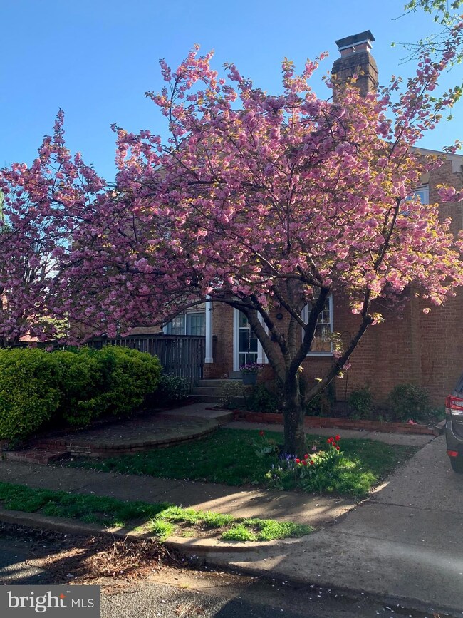 1401 Portner Rd, Alexandria, VA 22314 - photo 4