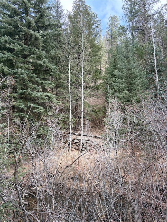 00000 S Elk Creek Rd, Pine, CO 80470 - photo 2