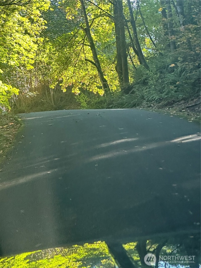 4610 Hemlock Ln NW, Gig Harbor, WA 98335 - photo 7