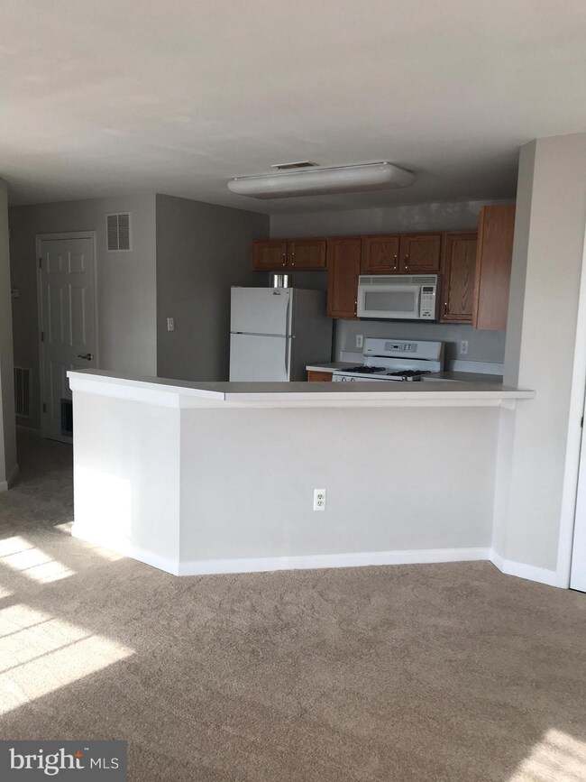 128 Wishing Star Ct unit 2C, Hagerstown, MD 21740 - photo 2