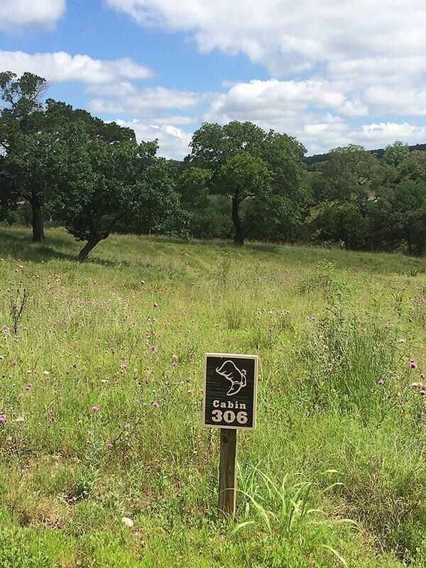 306 Oakview Ct unit 306, Fredericksburg, TX 78624 - photo 2