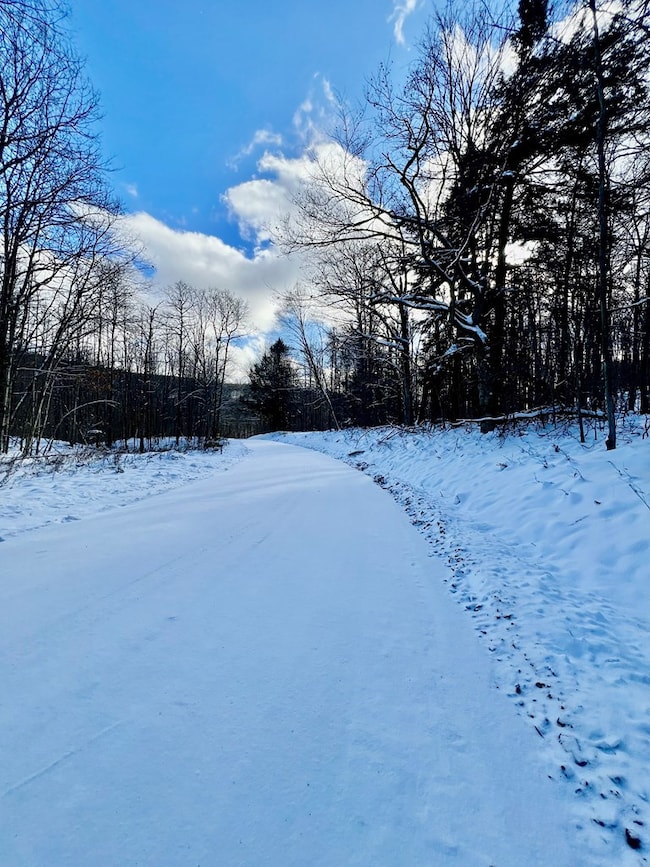 00 Brizzee Hollow, Genesee, PA 16923 - photo 2