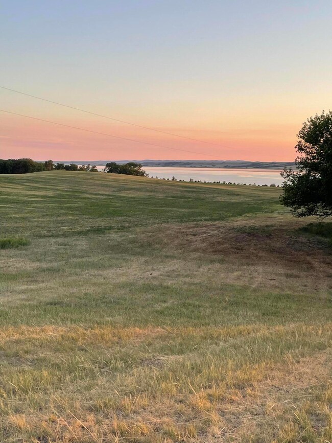 Lot View