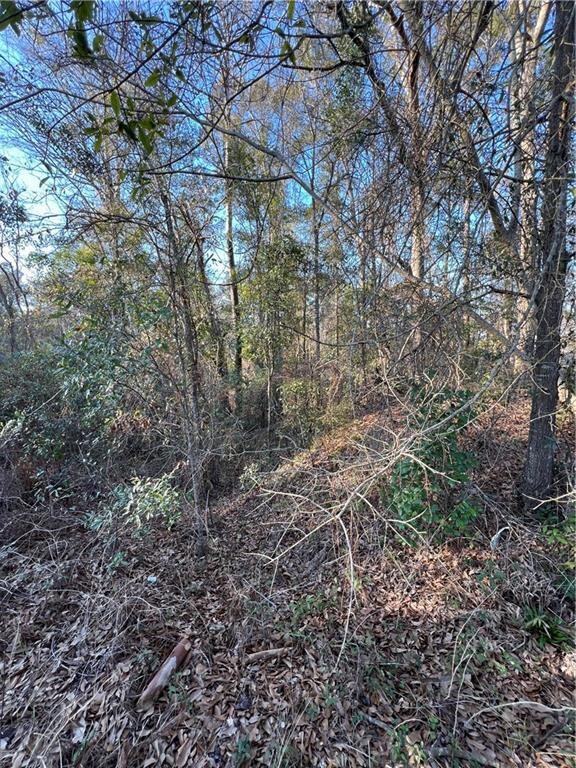 0 Browning Place Ct unit 7487969, Mobile, AL 36695 - photo 5