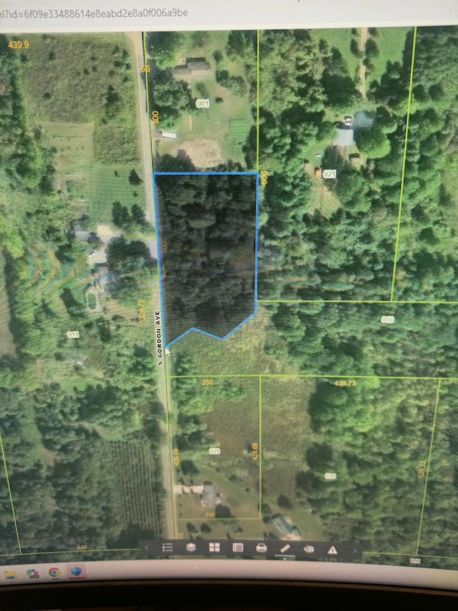 11298 S Gordon Ave, Grant, MI 49327 - photo 3