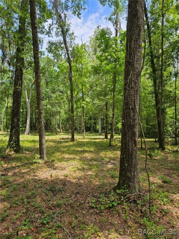 0 NW 83rd Court Rd unit 850146, Ocala, FL 34482 - photo 2