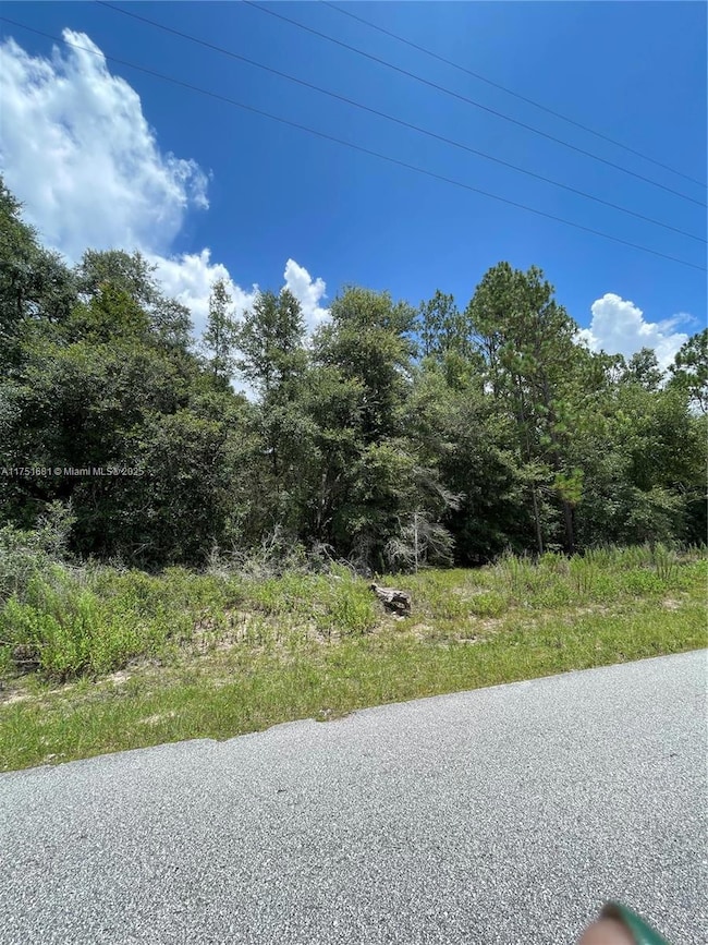 tbd SW 59th Ln, Dunnellon, FL 34431 - photo 2