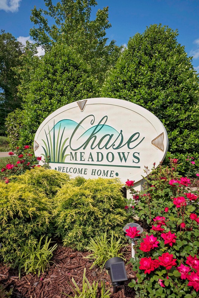 chase-meadows-photos-7