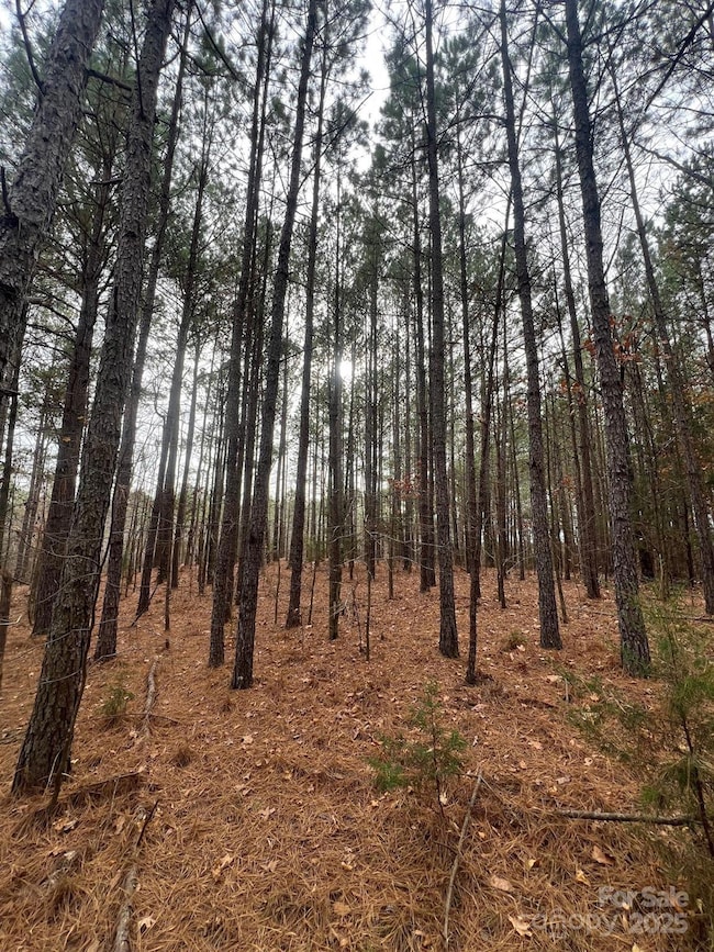 TBD Hwy 109 None S, Peachland, NC 28133 - photo 3