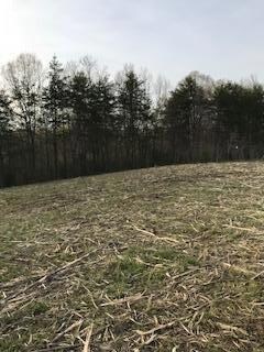 20180424211841085411000000-o