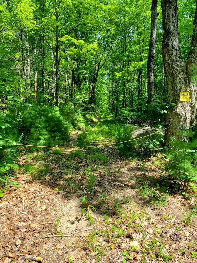 Lot 30 Middle Rd, Waterboro, ME 04087 - photo 4