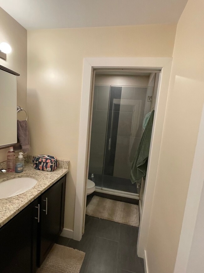 2247 W Thomas St unit GF, Chicago, IL 60622 - photo 5