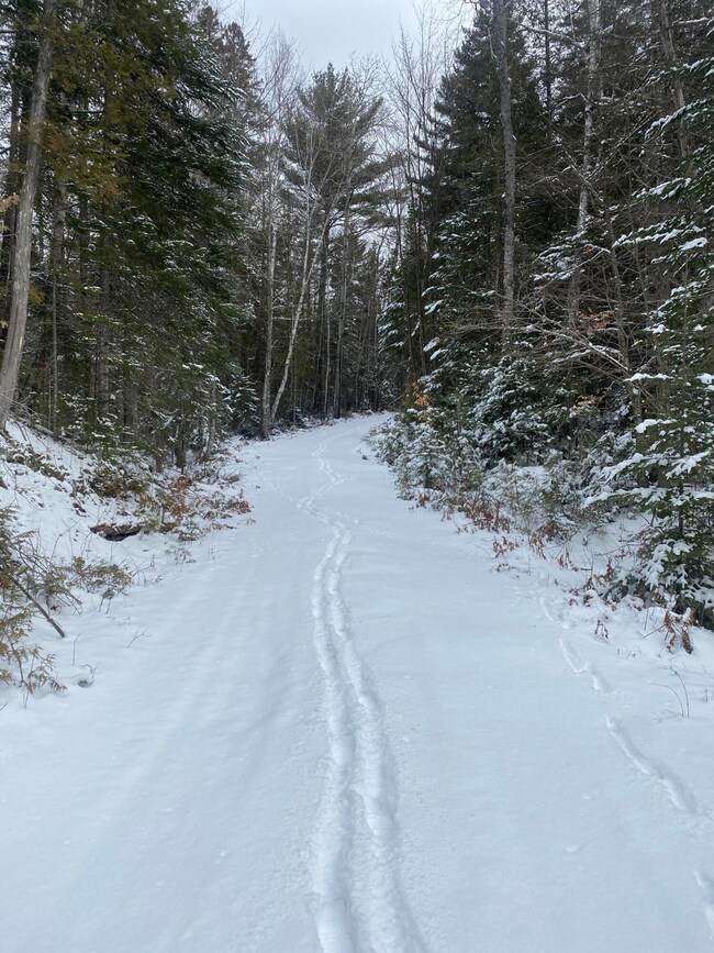 Lot 12 Jim Eaton Hill Rd, T3 R4 Bkp Wkr, ME 04691 - photo 3