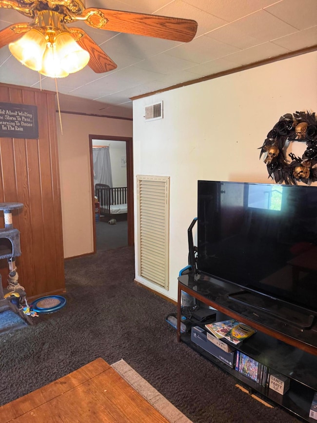 1005 S Park Ave, Aurora, MO 65605 - photo 6