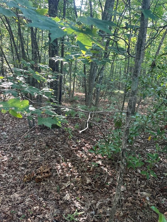 unlisted-address, Wilder, TN 38589 - photo 2