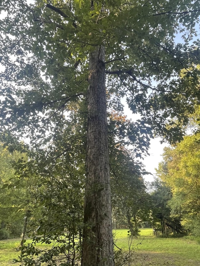 0 Alabama 41, Brewton, AL 36426 - photo 2