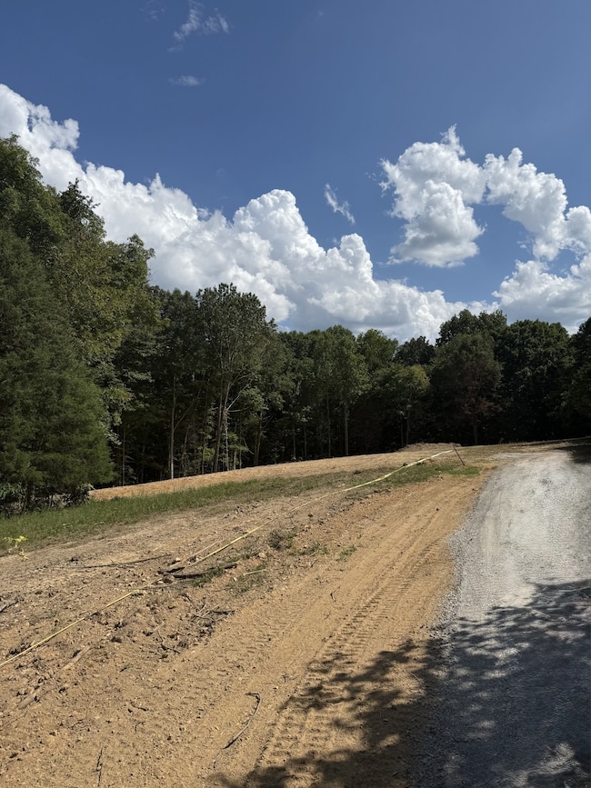 2967 Lights Chapel Rd, Greenbrier, TN 37073 - photo 2