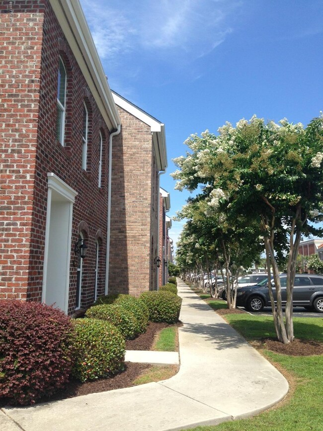 CREPE MYRTLES LINE THE ENTRANCE